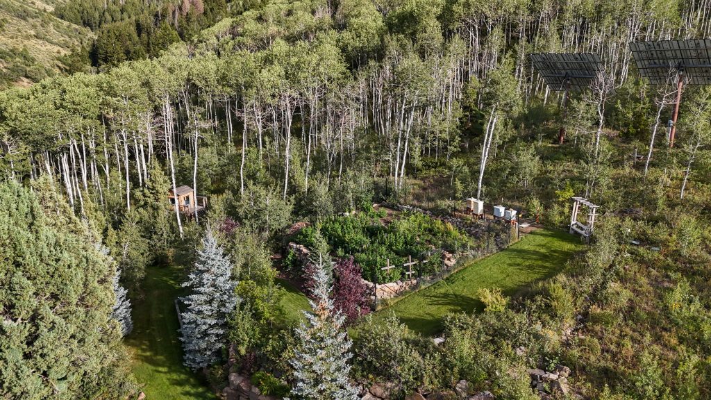 Red Pine Retreat