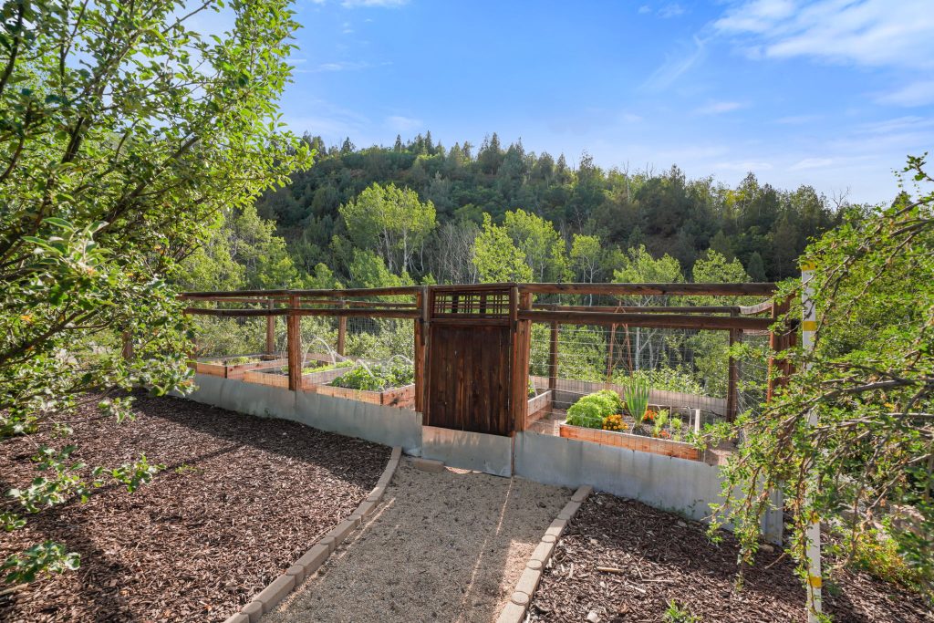 Red Pine Retreat